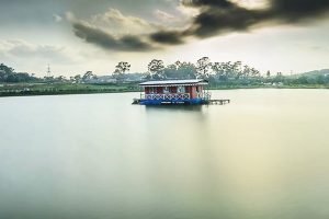 WhatsApp Image 2025-10-31 at 8.49.52 AM